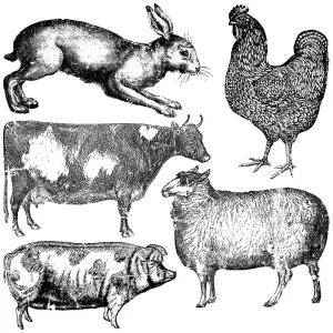 Farm Animals 12x12 IOD Stamp™