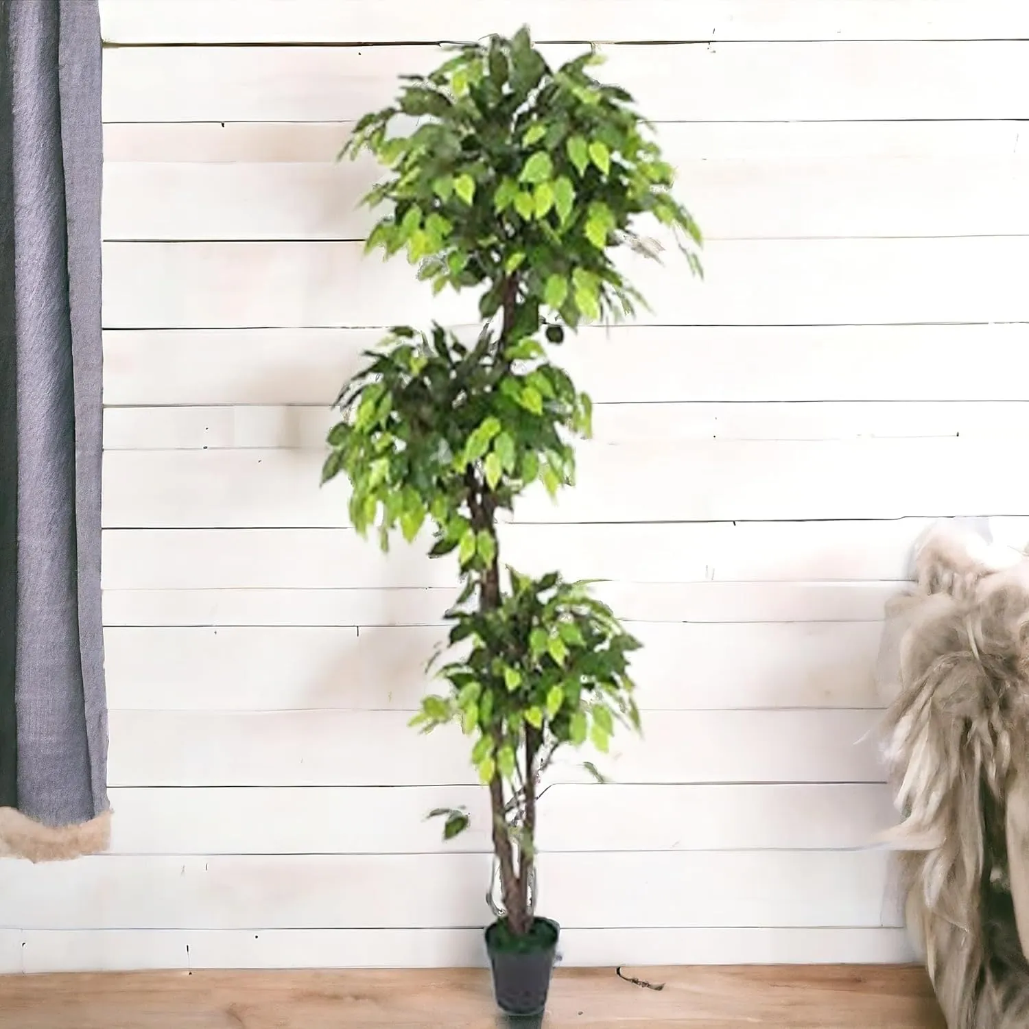 FOX & FERN Topiary Ficus Artificial Plant | with Basic Pot | Elevate Any Corner of Your Home/Garden | Best for Gifting | Party, Wedding and Home Decor (Ht. 180CM)