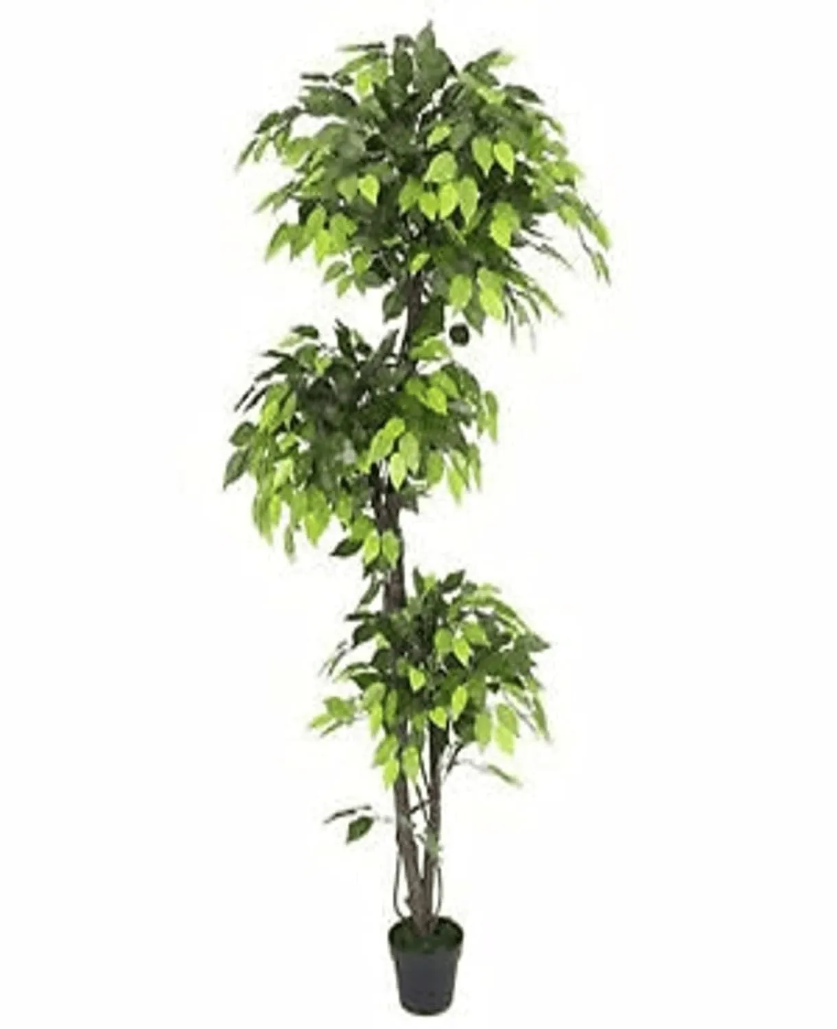 FOX & FERN Topiary Ficus Artificial Plant | with Basic Pot | Elevate Any Corner of Your Home/Garden | Best for Gifting | Party, Wedding and Home Decor (Ht. 180CM)