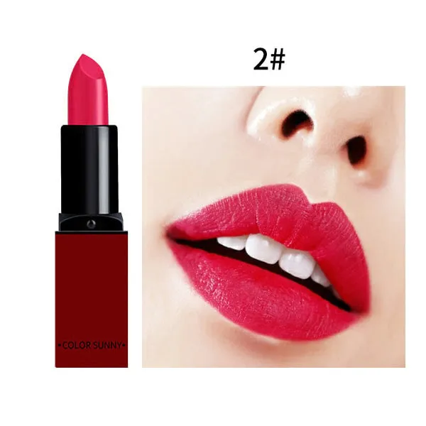 New Fashion Matte Lips Make Up 10 Color Brand Pigment Long Lasting Red Nude Velvet Waterproof 2017 New Matte Lipsticks Coametics