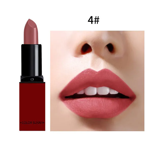 New Fashion Matte Lips Make Up 10 Color Brand Pigment Long Lasting Red Nude Velvet Waterproof 2017 New Matte Lipsticks Coametics