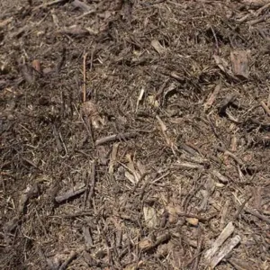 Tea Tree Mulch M3